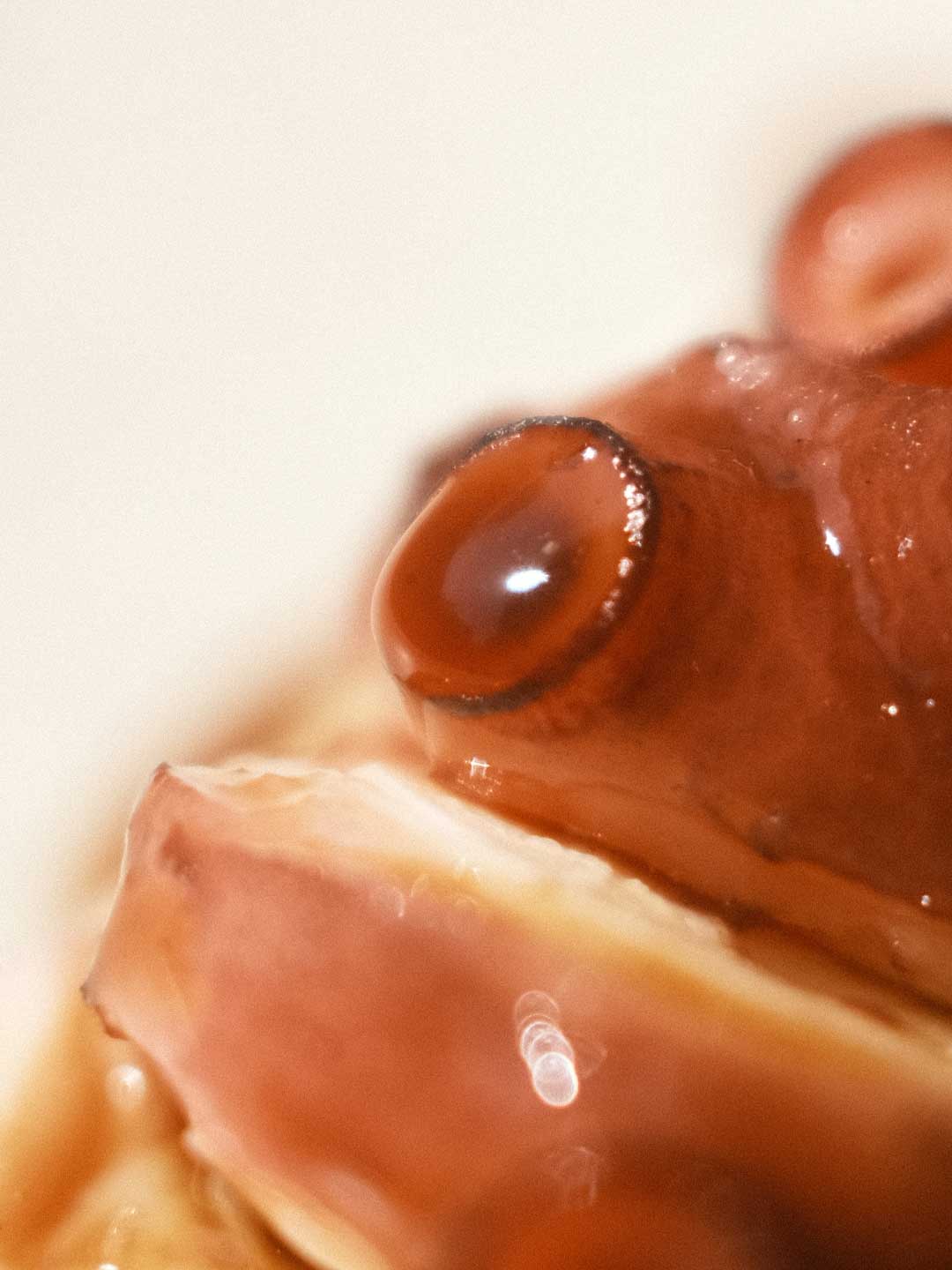 desayuno